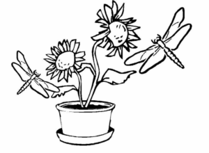 Disegno di libellula da stampare e colorare 43