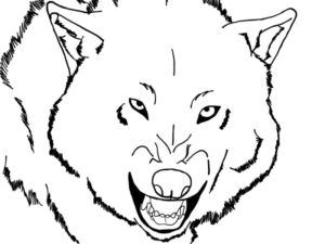 Disegno di lupo da stampare e colorare 3