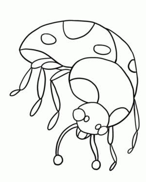 Disegno di coccinella da stampare e colorare 30