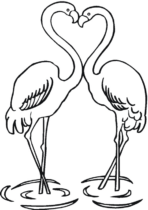 Disegni di Fenicotteri da colorare