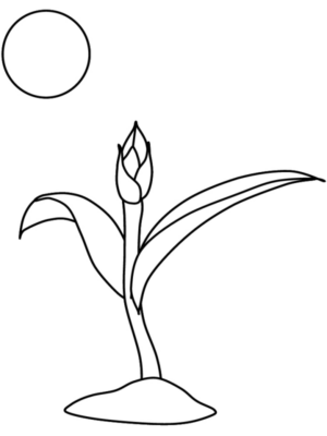 Disegno di fiore da stampare e colorare 284