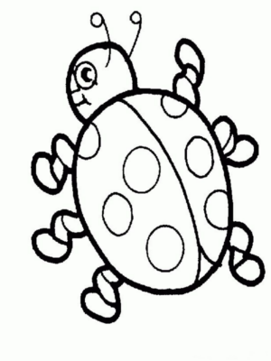 Disegno di coccinella da stampare e colorare 50