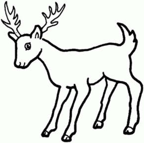 Disegno di cervo da stampare e colorare 9
