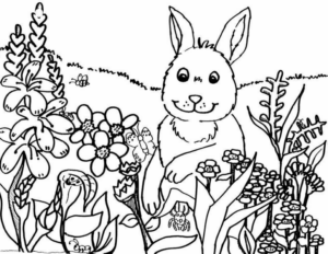 Disegno di coniglio da stampare e colorare 21