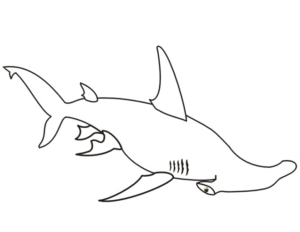 Disegno di squalo da stampare e colorare 17