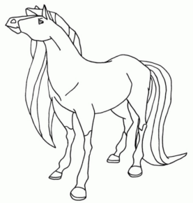 Disegno di cavallo da stampare e colorare 167