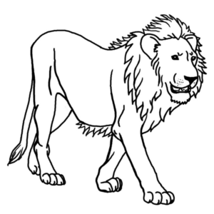 Disegno di leone da stampare e colorare 67