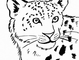 Disegno di leopardo da stampare e colorare 39
