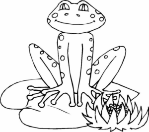Disegno di rana da stampare e colorare 121