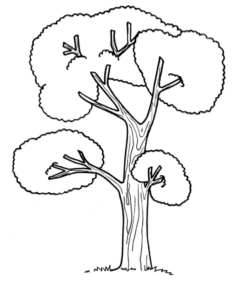 Disegno di albero da stampare e colorare 1