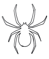 Disegni di Ragni da colorare