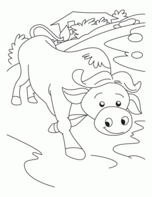 Disegno di mucca da stampare e colorare 4
