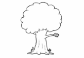 Disegni di Alberi da colorare