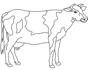 Disegno di mucca da stampare e colorare 113