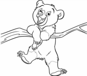 Disegno di orso da stampare e colorare 117