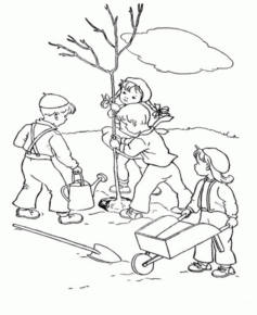 Disegno di albero da stampare e colorare 54