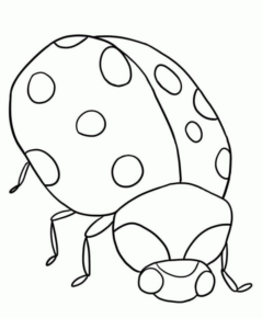 Disegno di coccinella da stampare e colorare 63