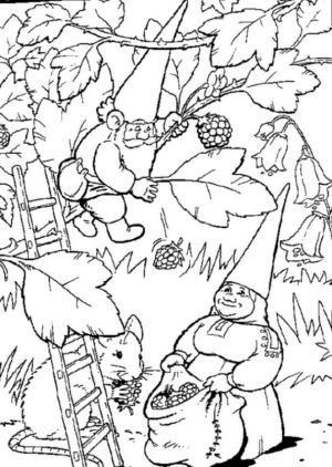 Disegno di gnomo e folletto da stampare e colorare 21