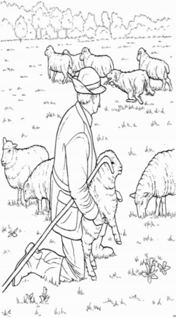 Disegno di pecora da stampare e colorare 9