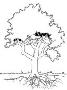 Disegno di albero da stampare e colorare 46