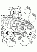 Disegni di Hamtaro da colorare