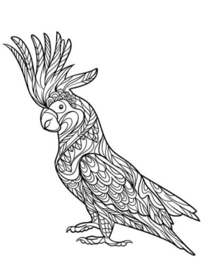 Disegno di pappagallo da stampare e colorare 23