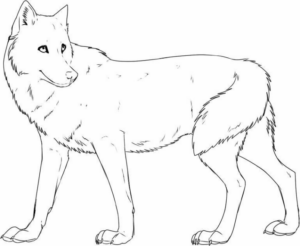 Disegno di lupo da stampare e colorare 69