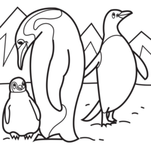 Disegno di pinguino da stampare e colorare 15
