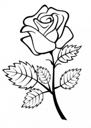 Disegno di fiore da stampare e colorare 277