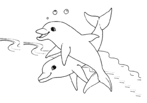 Disegno di delfino da stampare e colorare 26