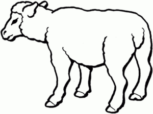 Disegno di pecora da stampare e colorare 65