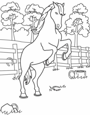 Disegno di cavallo da stampare e colorare 198