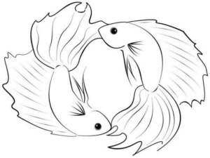 Disegno di pesce da stampare e colorare 311