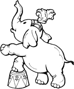 Disegno di circense da stampare e colorare 8