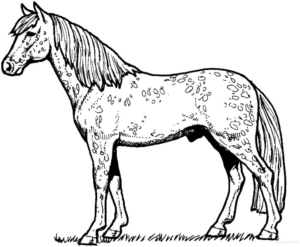 Disegno di cavallo da stampare e colorare 154
