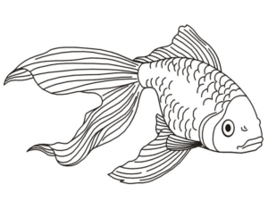 Disegno di pesce da stampare e colorare 138