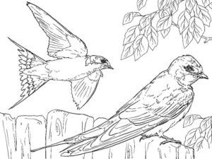 Disegno di uccello da stampare e colorare 2