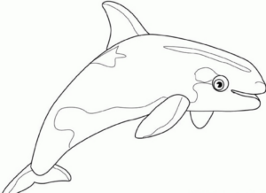 Disegno di delfino da stampare e colorare 56