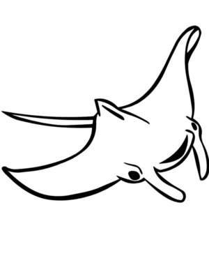 Disegno di manta da stampare e colorare 5