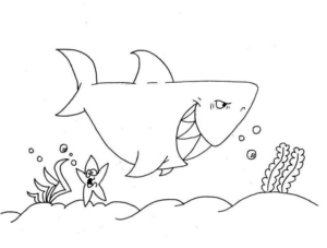 Disegno di squalo da stampare e colorare 66