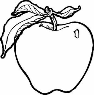 Disegno di mela da stampare e colorare 80