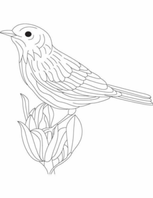 Disegno di passero da stampare e colorare 50