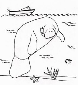 Disegno di foca da stampare e colorare 4