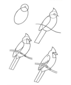 Disegno di uccello da stampare e colorare 92