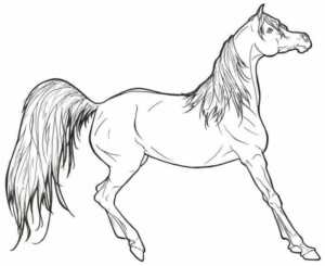 Disegno di cavallo da stampare e colorare 215