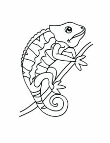 Disegno di camaleonte da stampare e colorare 11