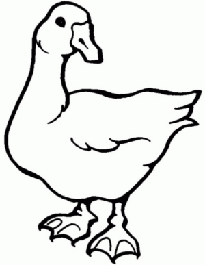 Disegno di cigno da stampare e colorare 26