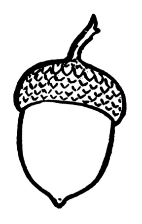 Disegno di ghianda da stampare e colorare 12