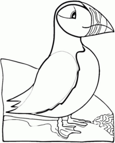 Disegno di tucano da stampare e colorare 35