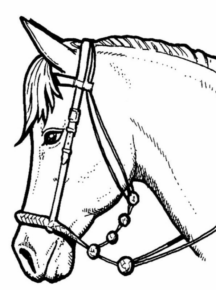 Disegno di cavallo da stampare e colorare 241